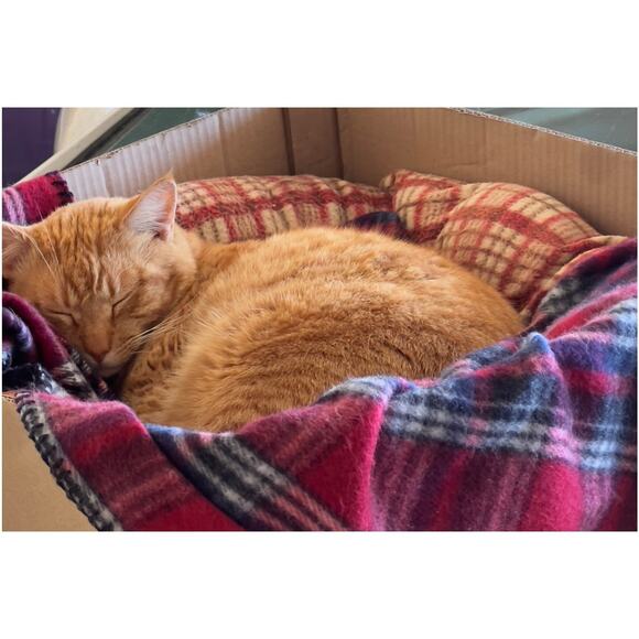 CANNON Bath Towel Set for 4 Vintage Orange Brown in Original Pack - Picture 10 of 10